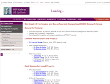 Tablet Screenshot of birc.nuigalway.ie